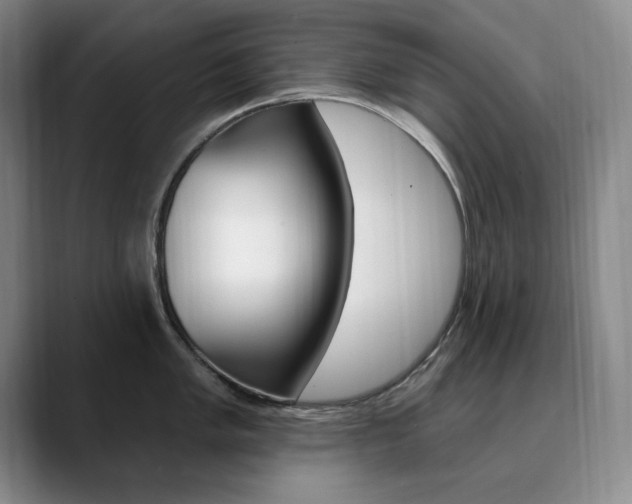X0000090731005200707200952