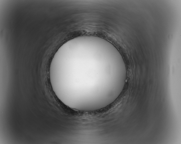 X0000090731009200707200951