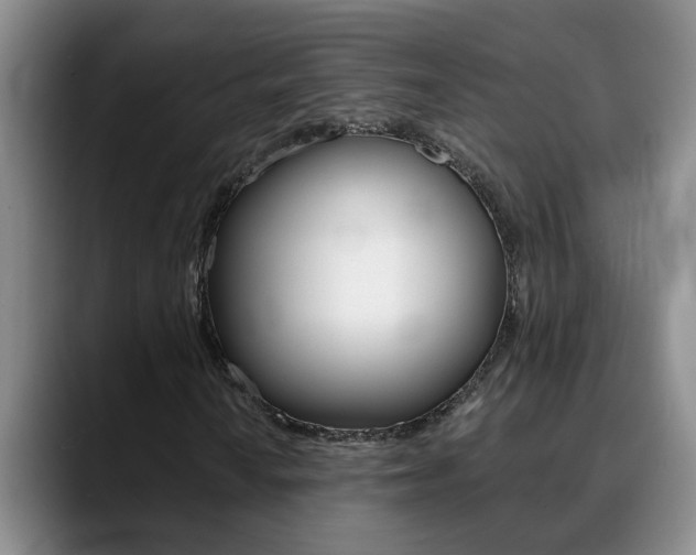 X0000090731010200707200951