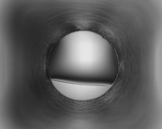 X0000090731012200707200951