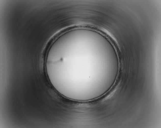 X0000090731021200707200951