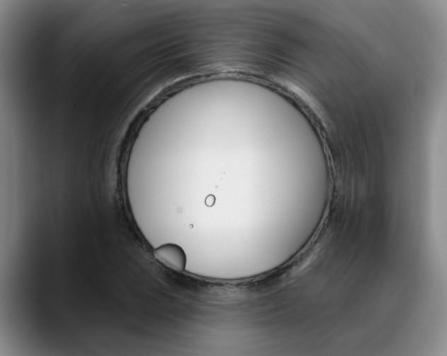 X0000090731023200707200951