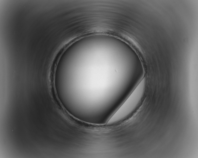 X0000090731026200707200951