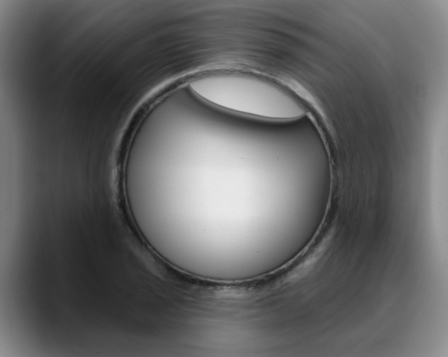 X0000090731029200707200951