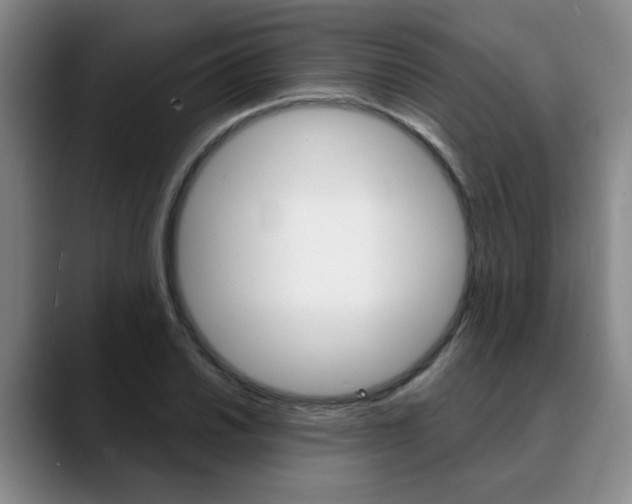 X0000090731030200707200951