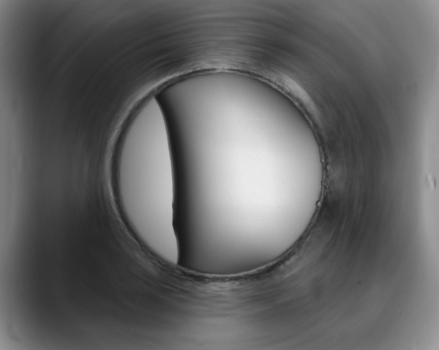 X0000090731035200707200951