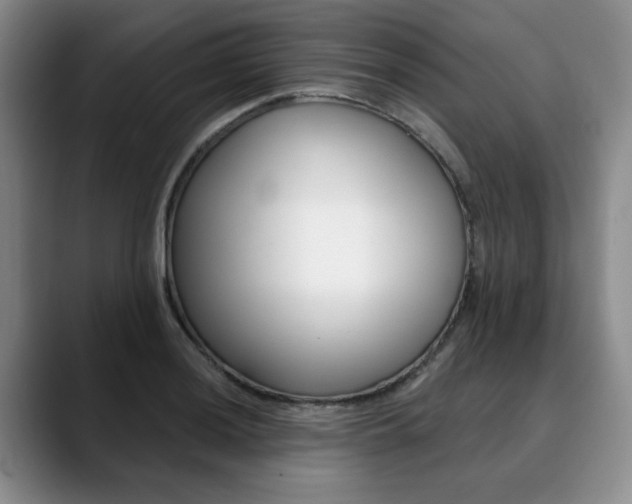 X0000090731036200707200951