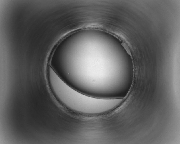 X0000090731038200707200951