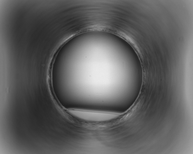 X0000090731042200707200952