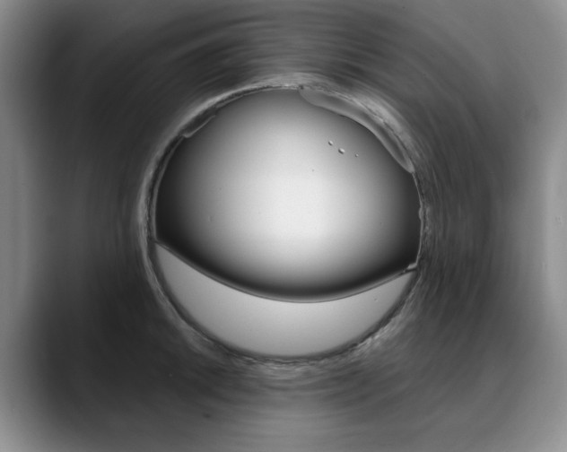X0000090731046200707200952