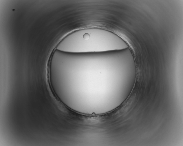 X0000090731047200707200952