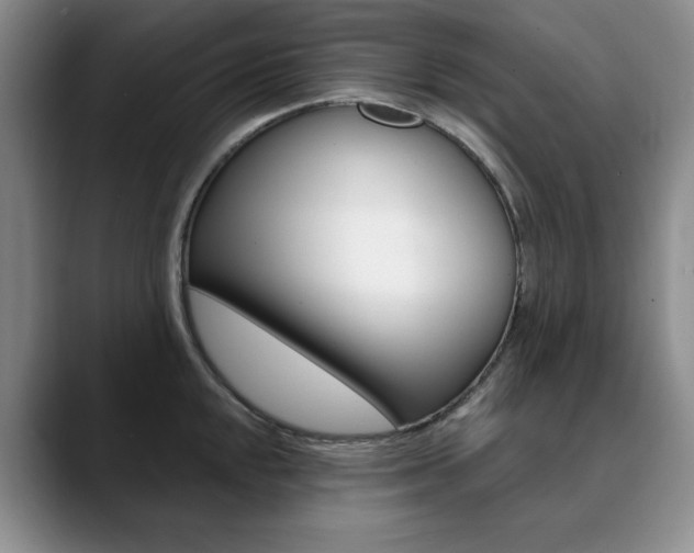 X0000090731048200707200952