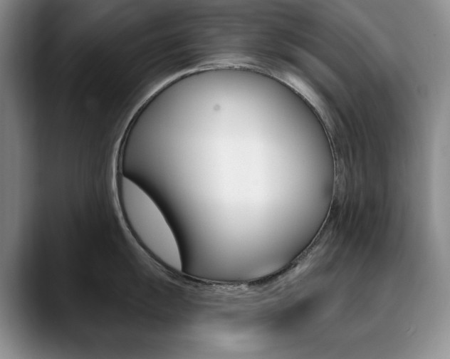 X0000090731055200707200952