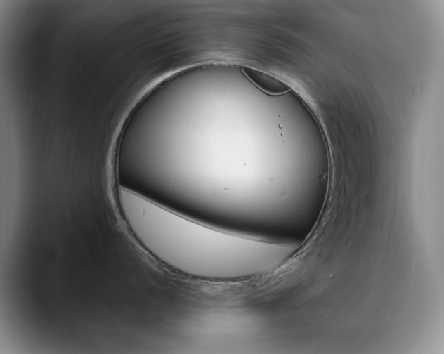 X0000090731056200707200952