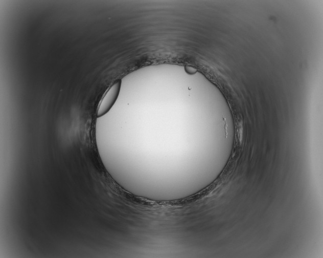 X0000090731059200707200951