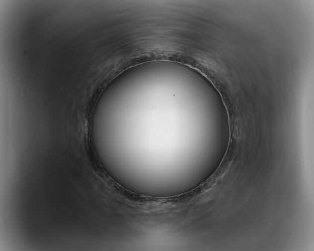 X0000090731061200707200951