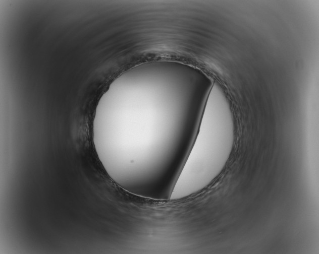X0000090731062200707200951