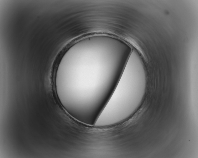 X0000090731068200707200951