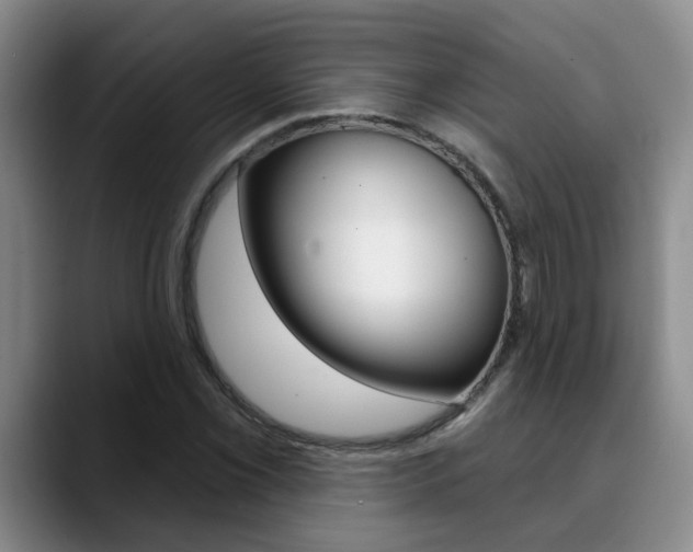 X0000090731069200707200951
