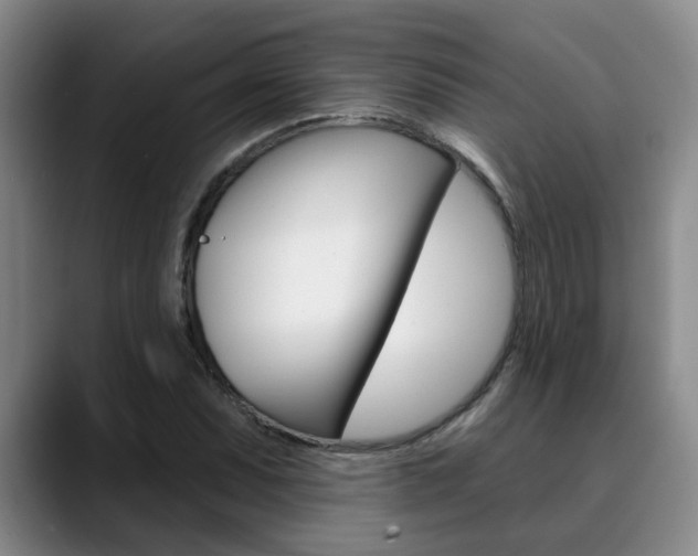 X0000090731071200707200951