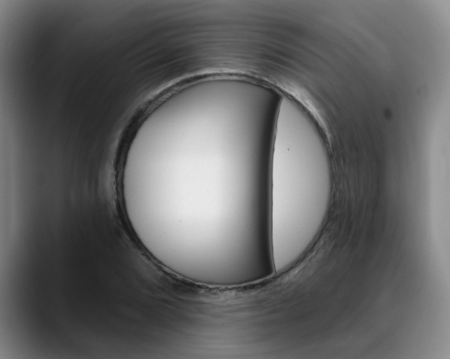 X0000090731072200707200951