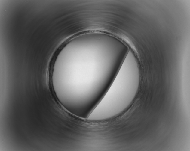 X0000090731076200707200951