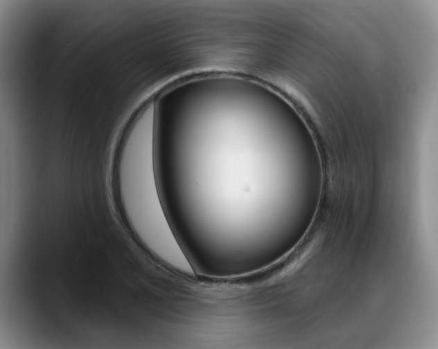 X0000090731077200707200951