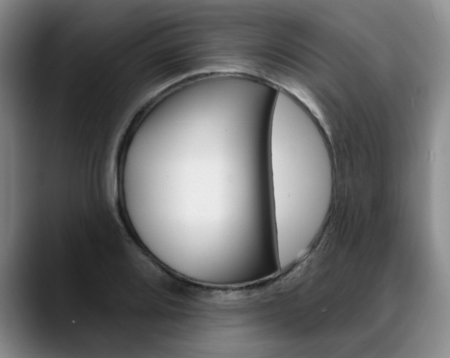 X0000090731080200707200951
