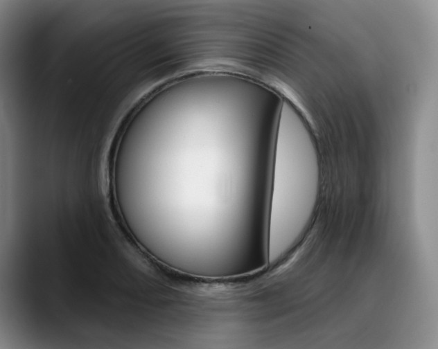 X0000090731082200707200951
