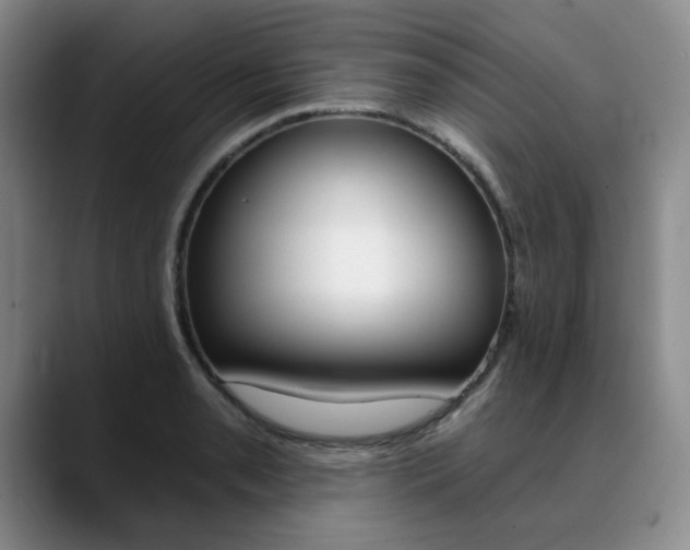 X0000090731085200707200951