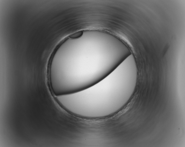 X0000090731087200707200951
