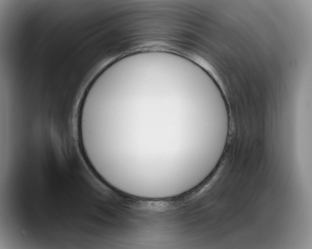 X0000090731090200707200951