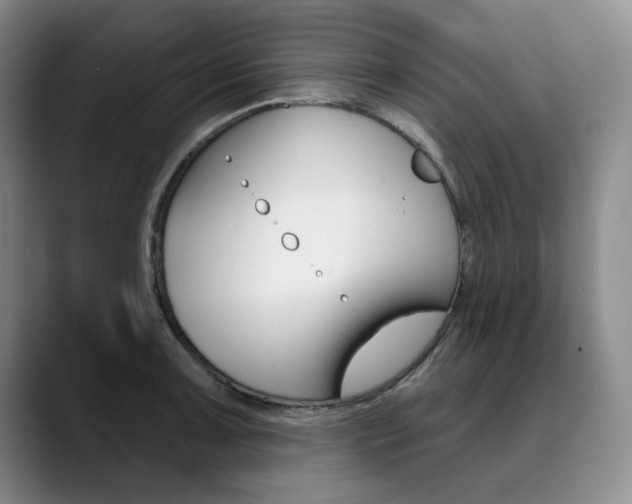 X0000090731091200707200951