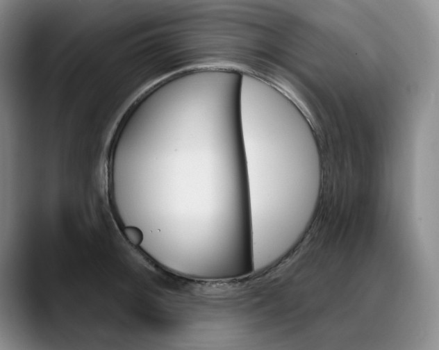 X0000090731092200707200951