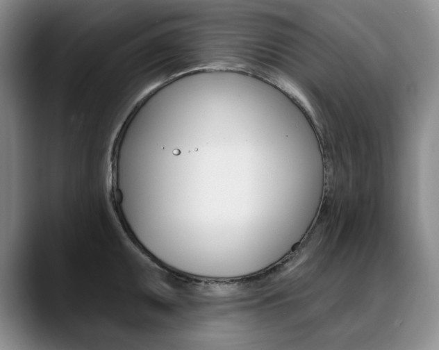 X0000090731095200707200951