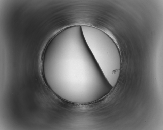 X0000090731096200707200951