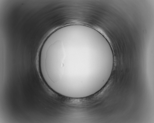 X0000090731098200707200951