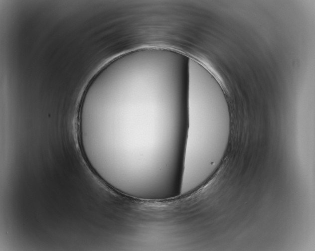X0000090731100200707200951