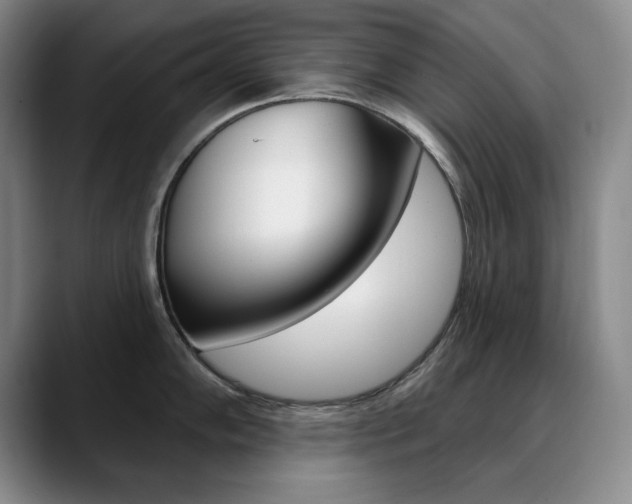 X0000090731102200707200951