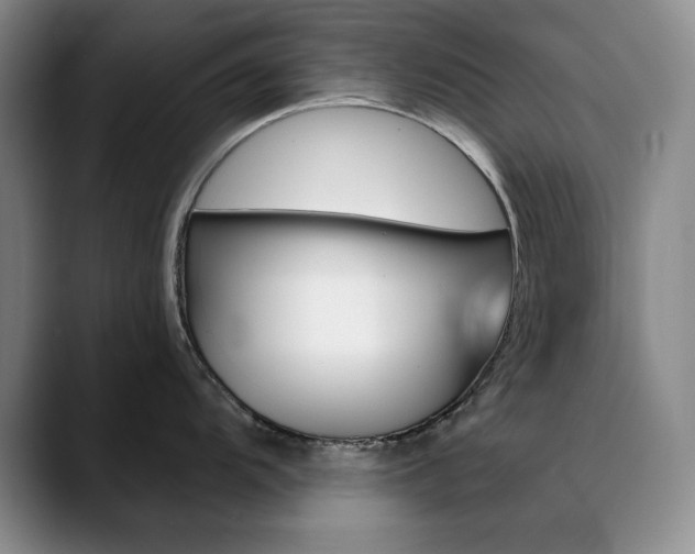 X0000090731104200707200951