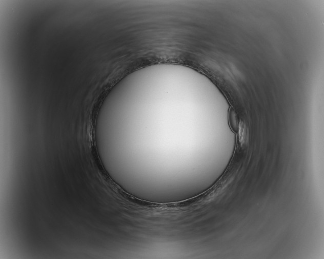 X0000090731107200707200950
