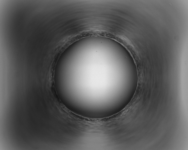 X0000090731110200707200950