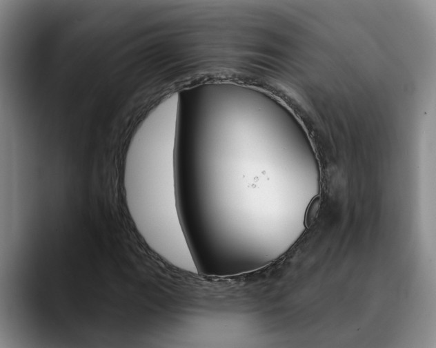 X0000090731111200707200950