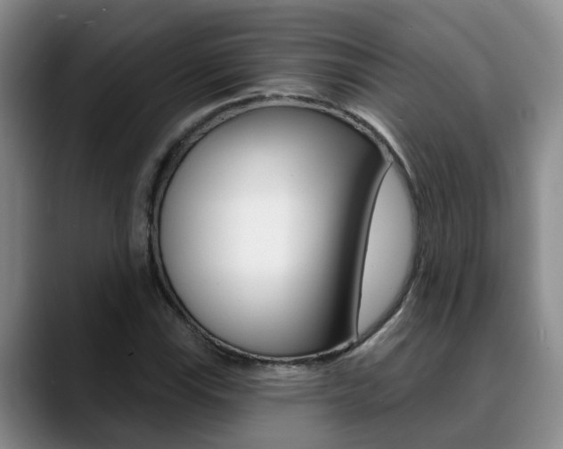 X0000090731115200707200950