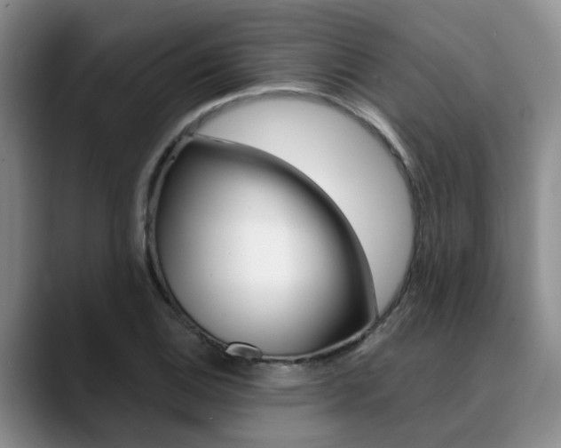 X0000090731124200707200950