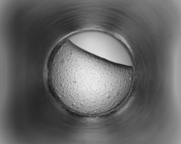 X0000090731125200707200950