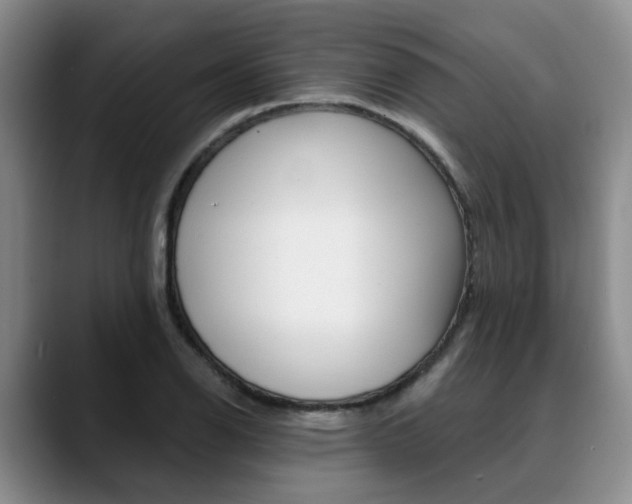 X0000090731126200707200950