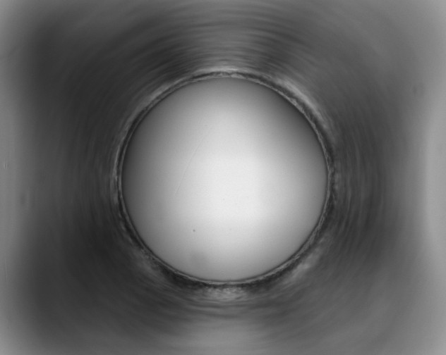 X0000090731129200707200950