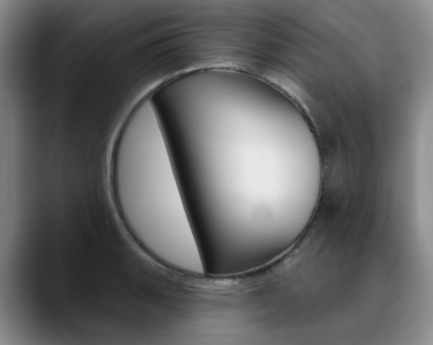 X0000090731135200707200950