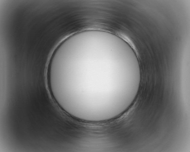 X0000090731138200707200950